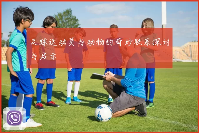 足球运动员与动物的奇妙联系探讨与启示