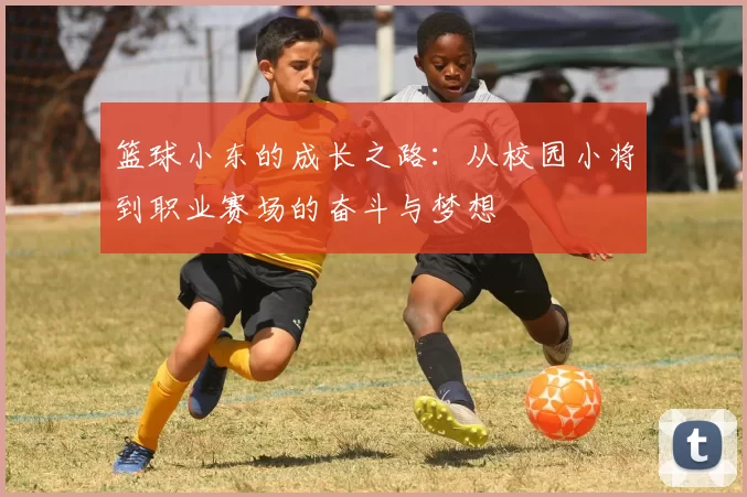 篮球小东的成长之路：从校园小将到职业赛场的奋斗与梦想